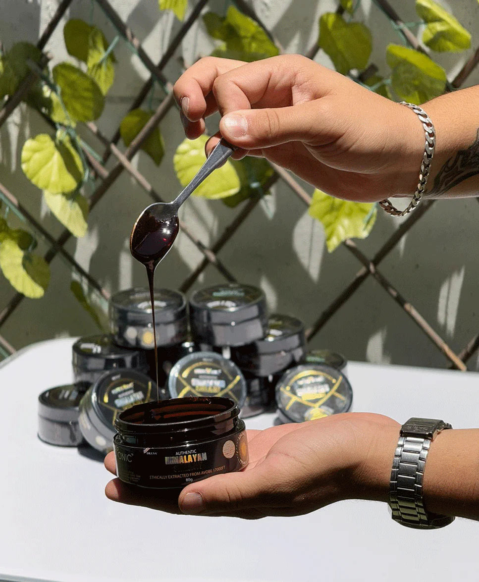 Shilajit Himalaya🌿 (2x1) 30g