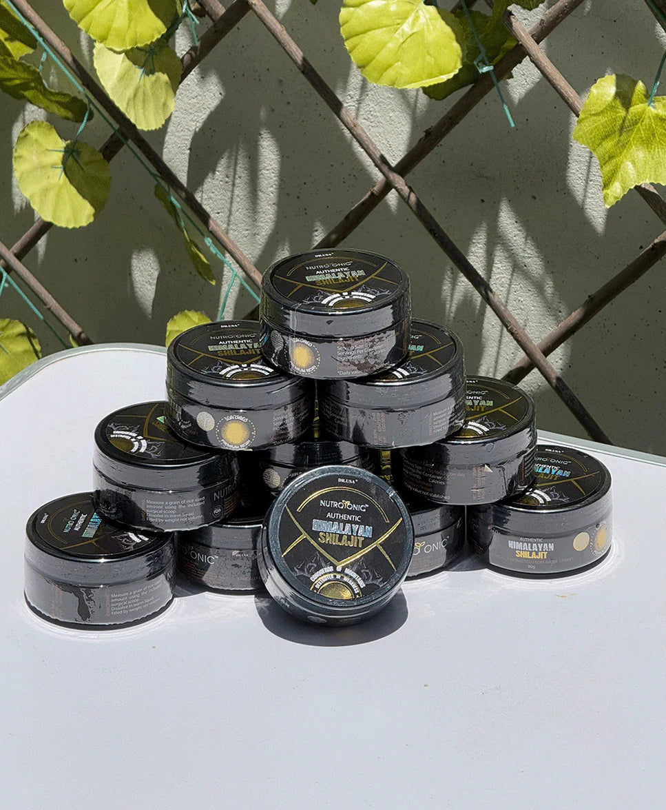 Shilajit Himalaya🌿 (2x1) 30g