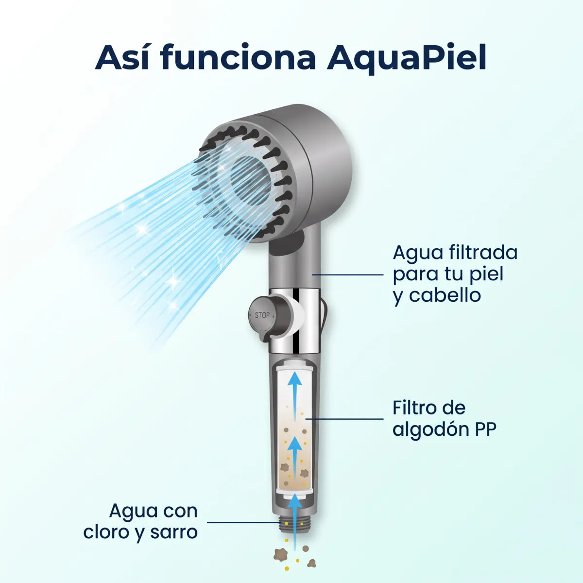 AquaPiel neocortex