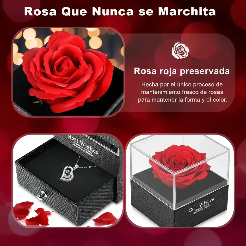 Rosa Eterna En Joyero + Collar Te Amo💝