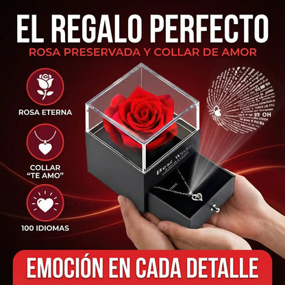 Rosa Eterna En Joyero + Collar Te Amo💝
